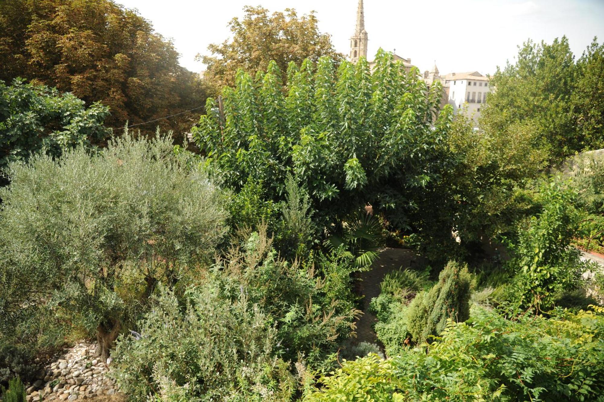 Limoux Riverside Gardens Villa Esterno foto