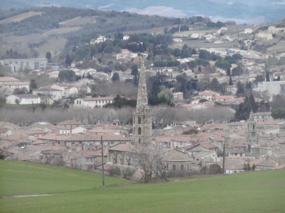 Limoux Riverside Gardens Villa Esterno foto