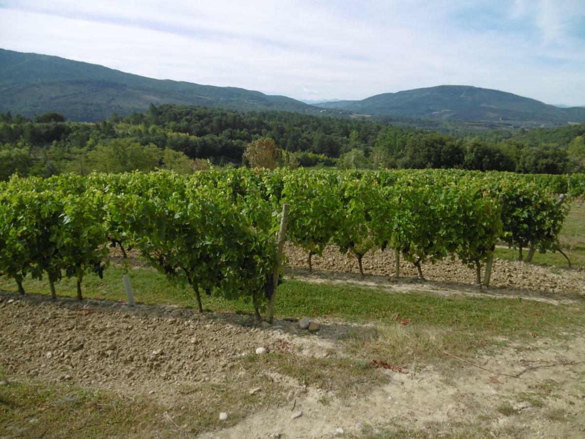 Limoux Riverside Gardens Villa Esterno foto